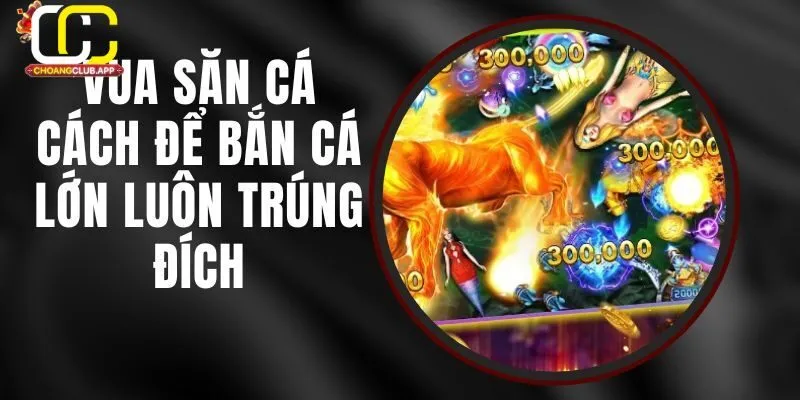 Chiến Thuật và Mẹo Chơi Vua Săn Cá Hiệu Quả